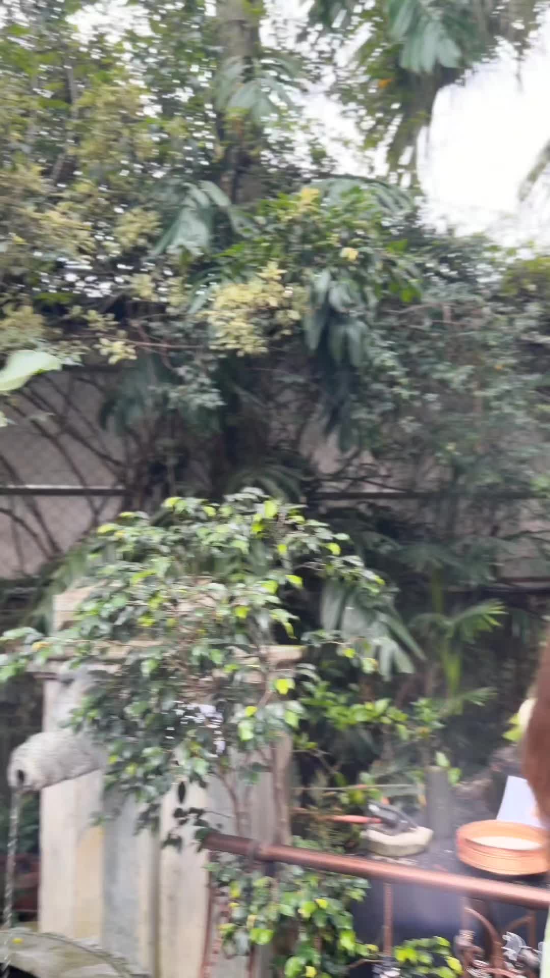 @🕉️