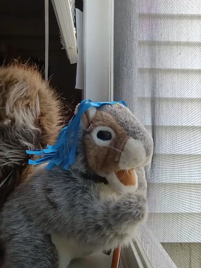 @Charles The Squirrel