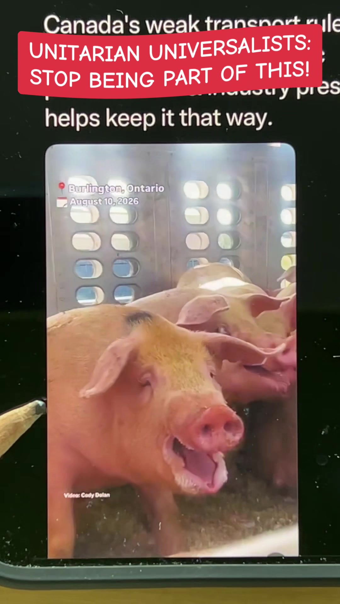 @That Vegan Teacher Miss Kadie