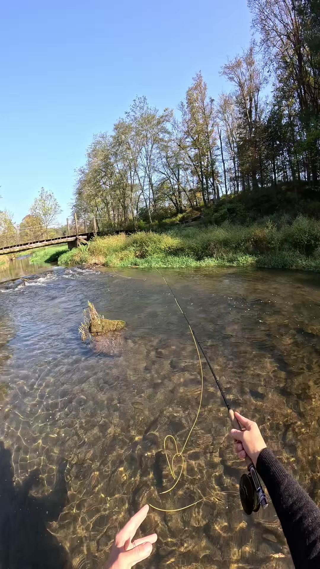 @FlyFishDelawhere
