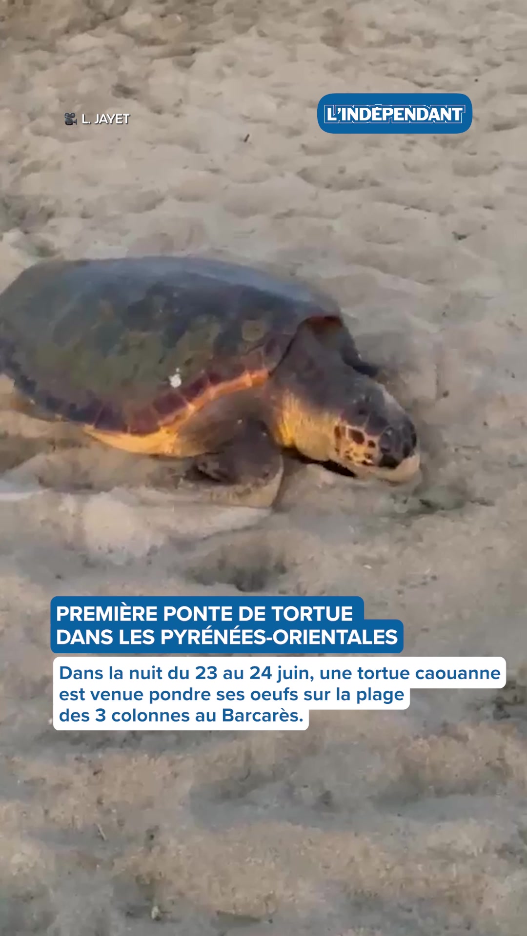 @L'Ind&eacute;pendant