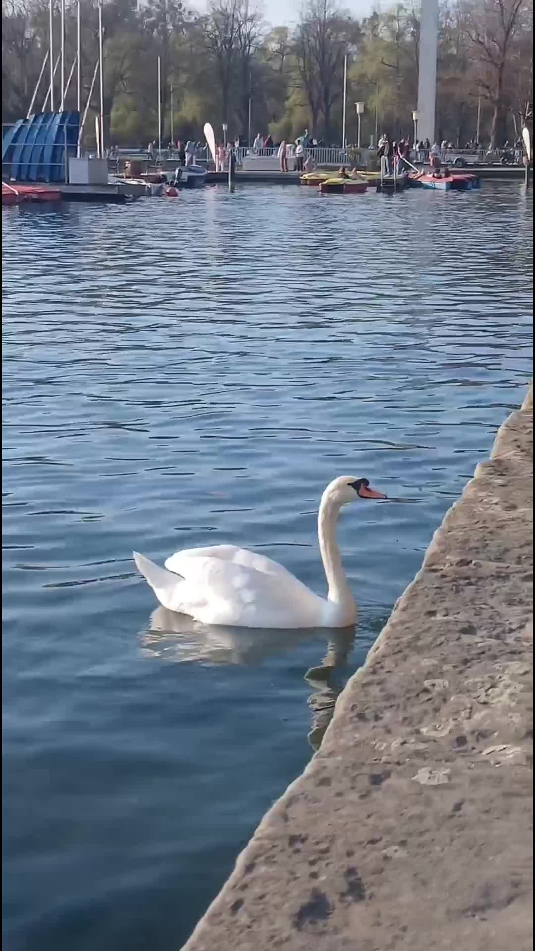 @Sanya,khäÑ3636🇩🇪ÄK
