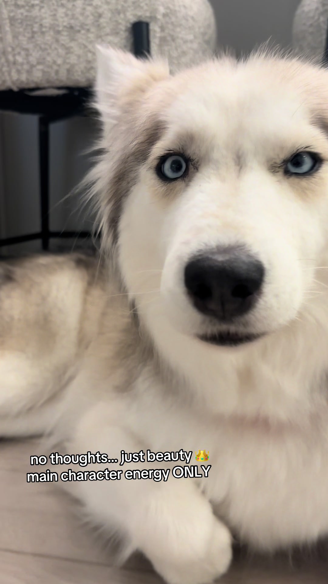 @lifewith2huskies