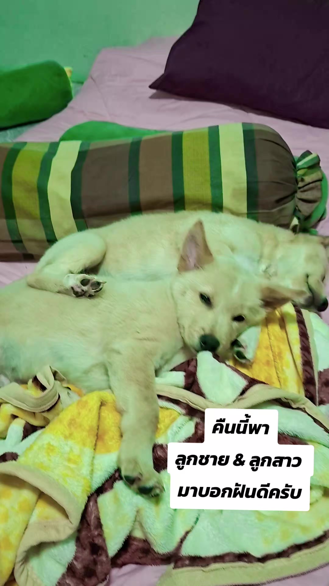 @หนึ่งเดียวบนโลกกว้าง