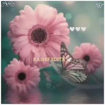 @Kashif Editx
