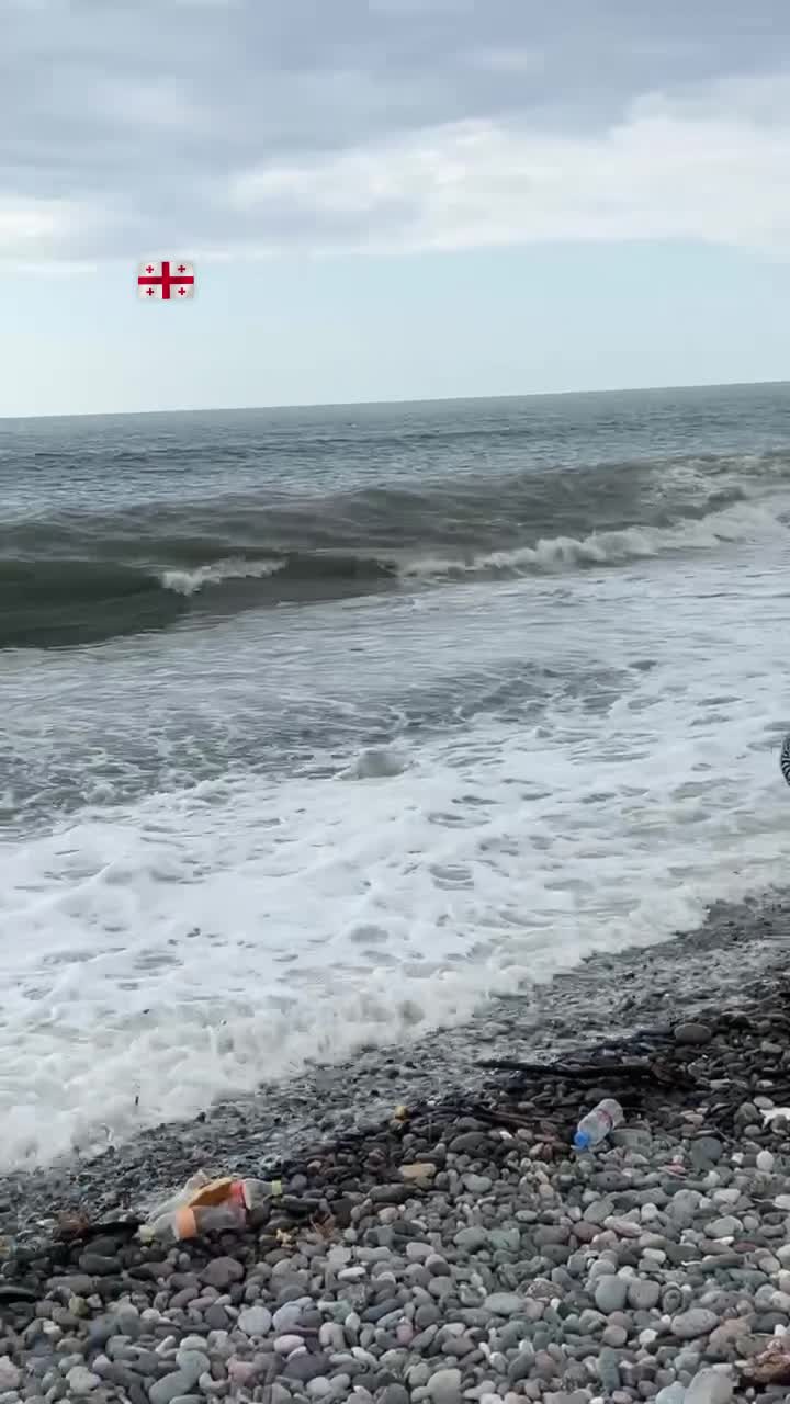 @ирвинксз🙏🏻✰