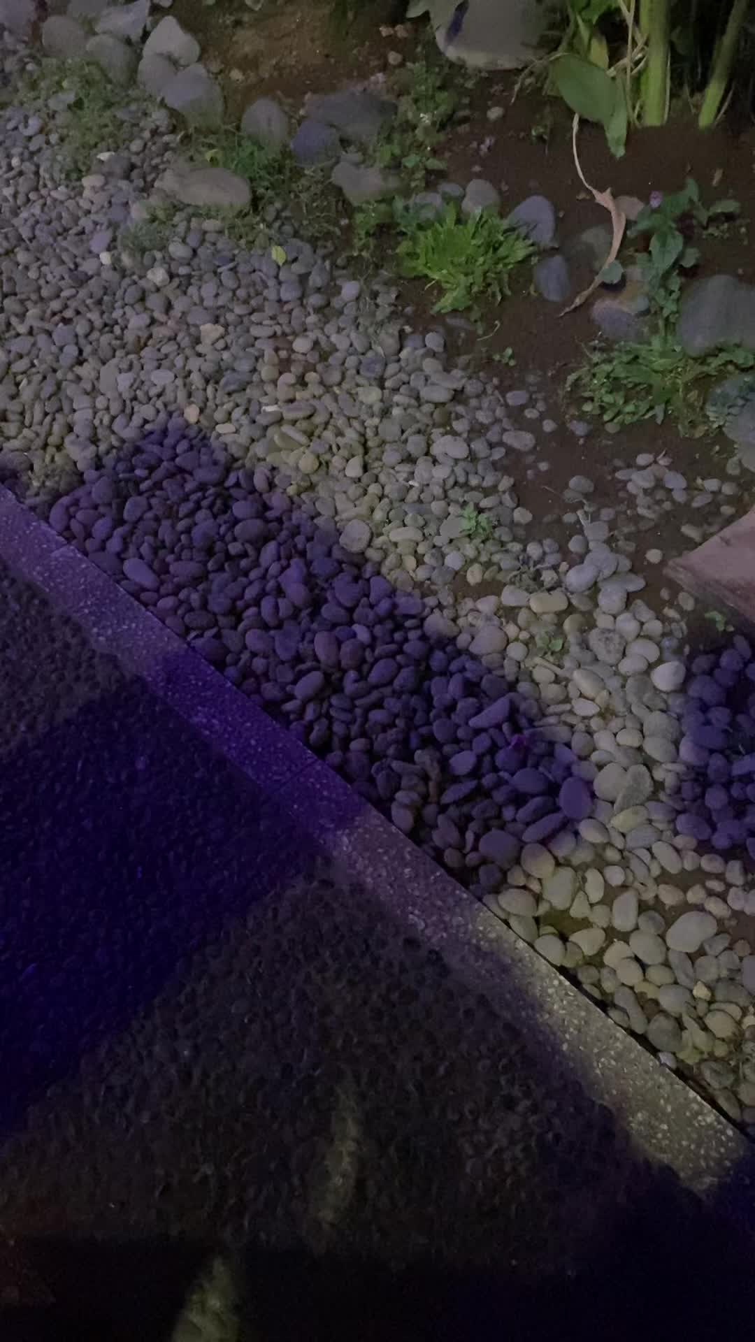 @MARKUS.HD