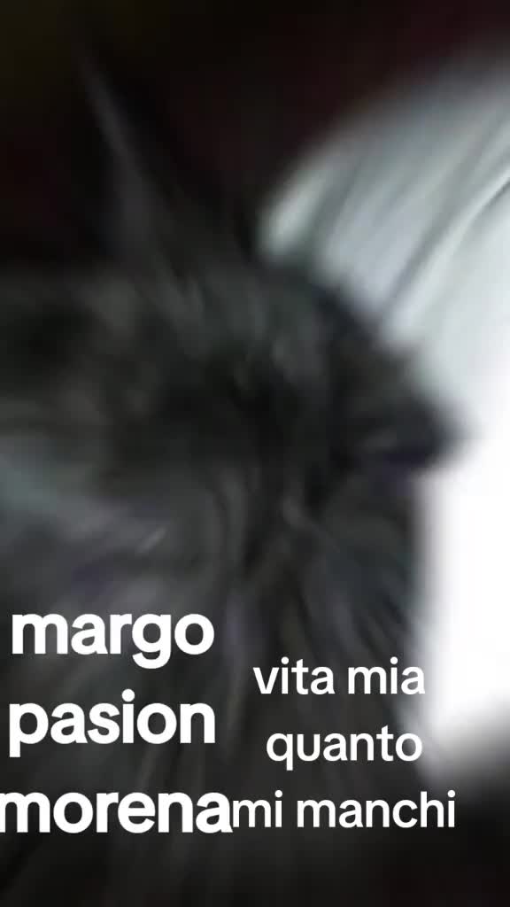 @titty margo lucrezia