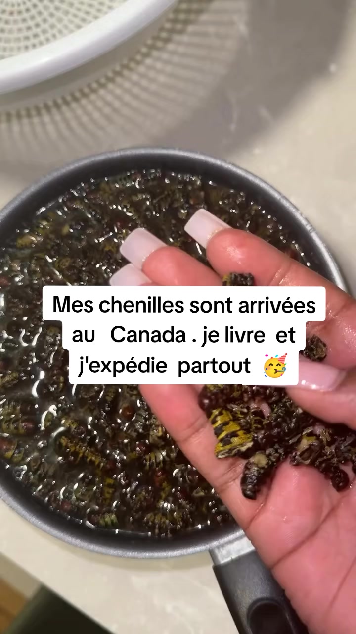 @DALO CHITOUMOU
