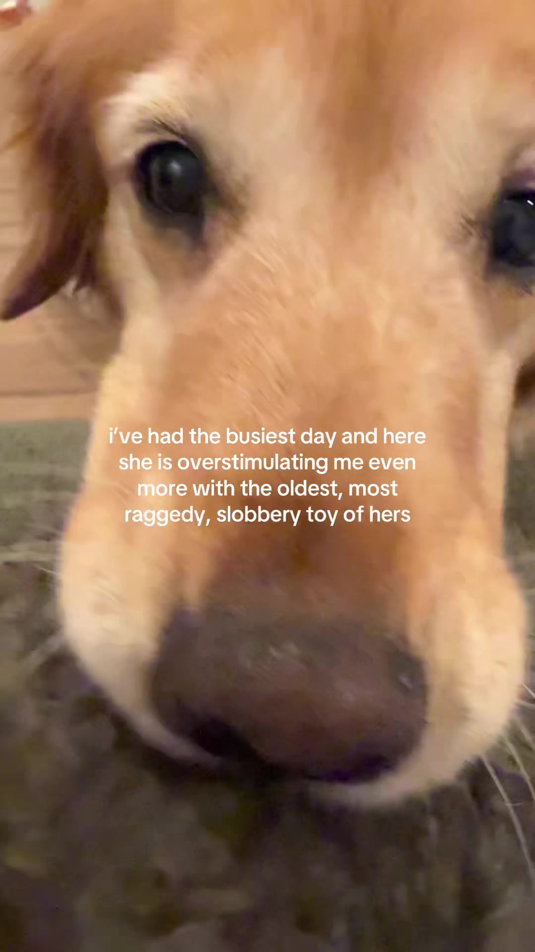 @ANGIE LIU