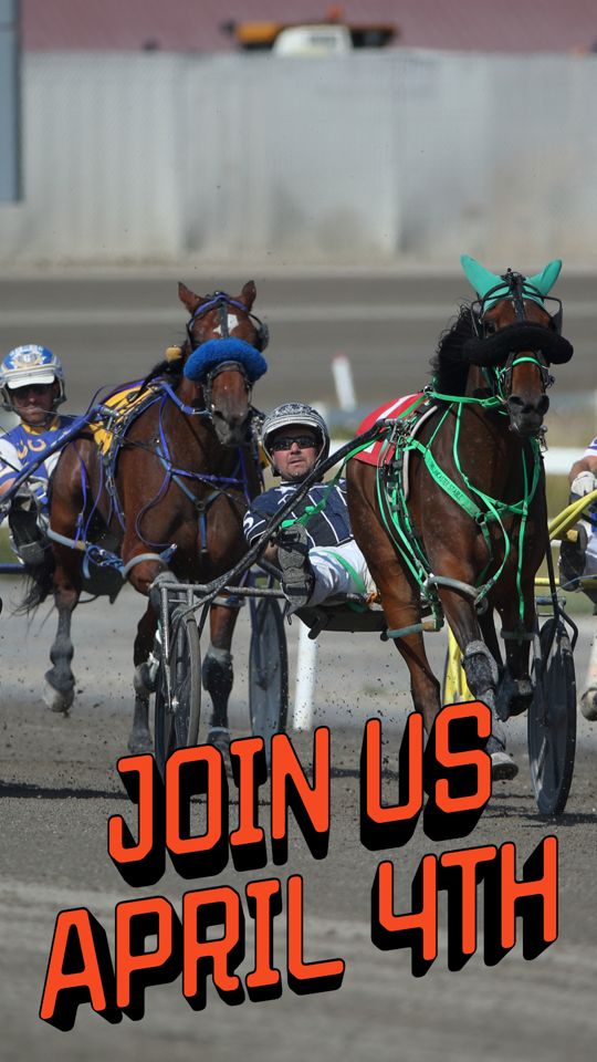 @Century Downs