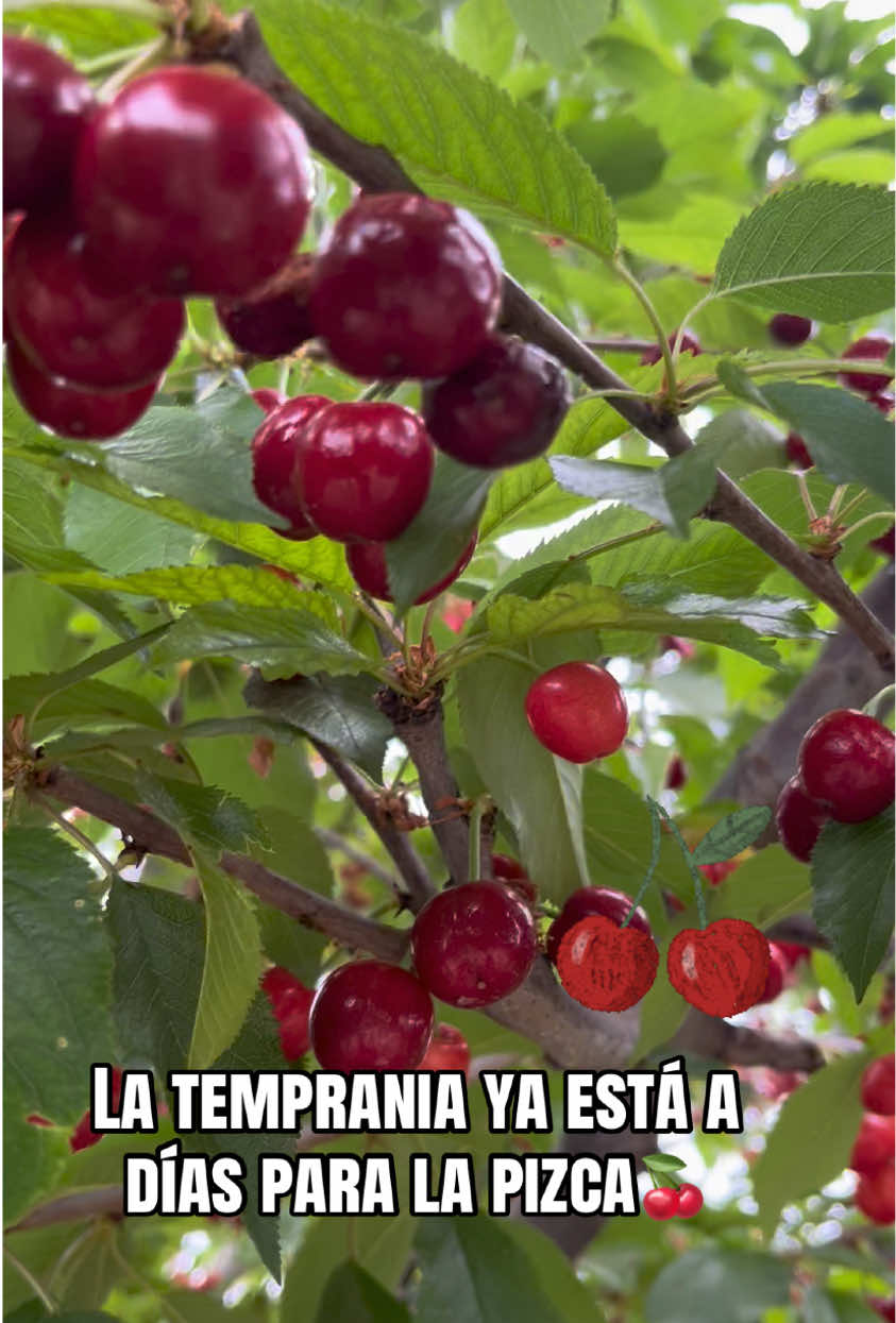 @Don Cle