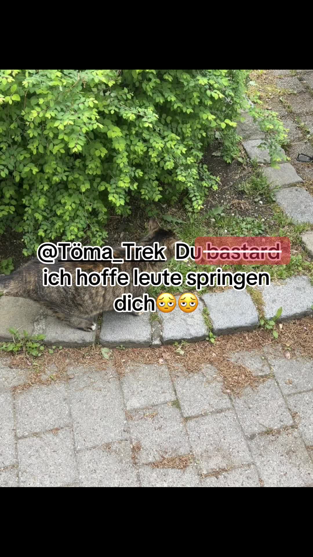 @Hana ⋮ germany’s wife 🐹
