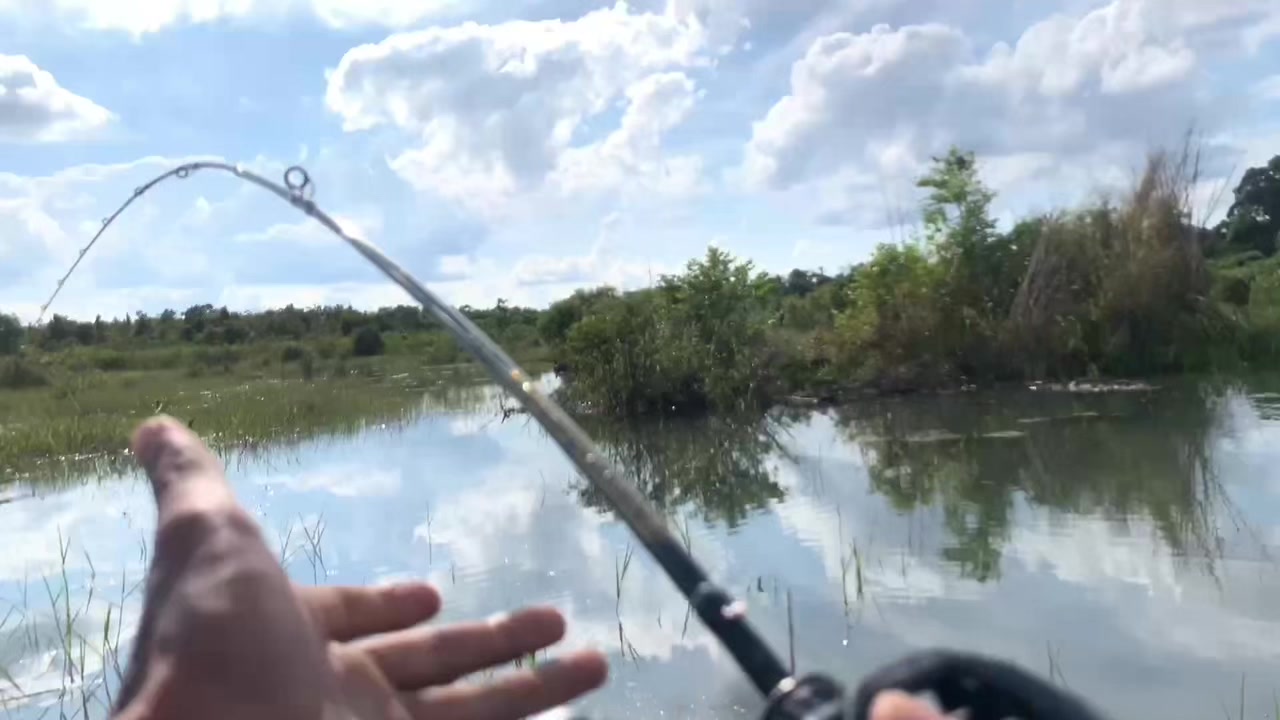 @Bono & Fish