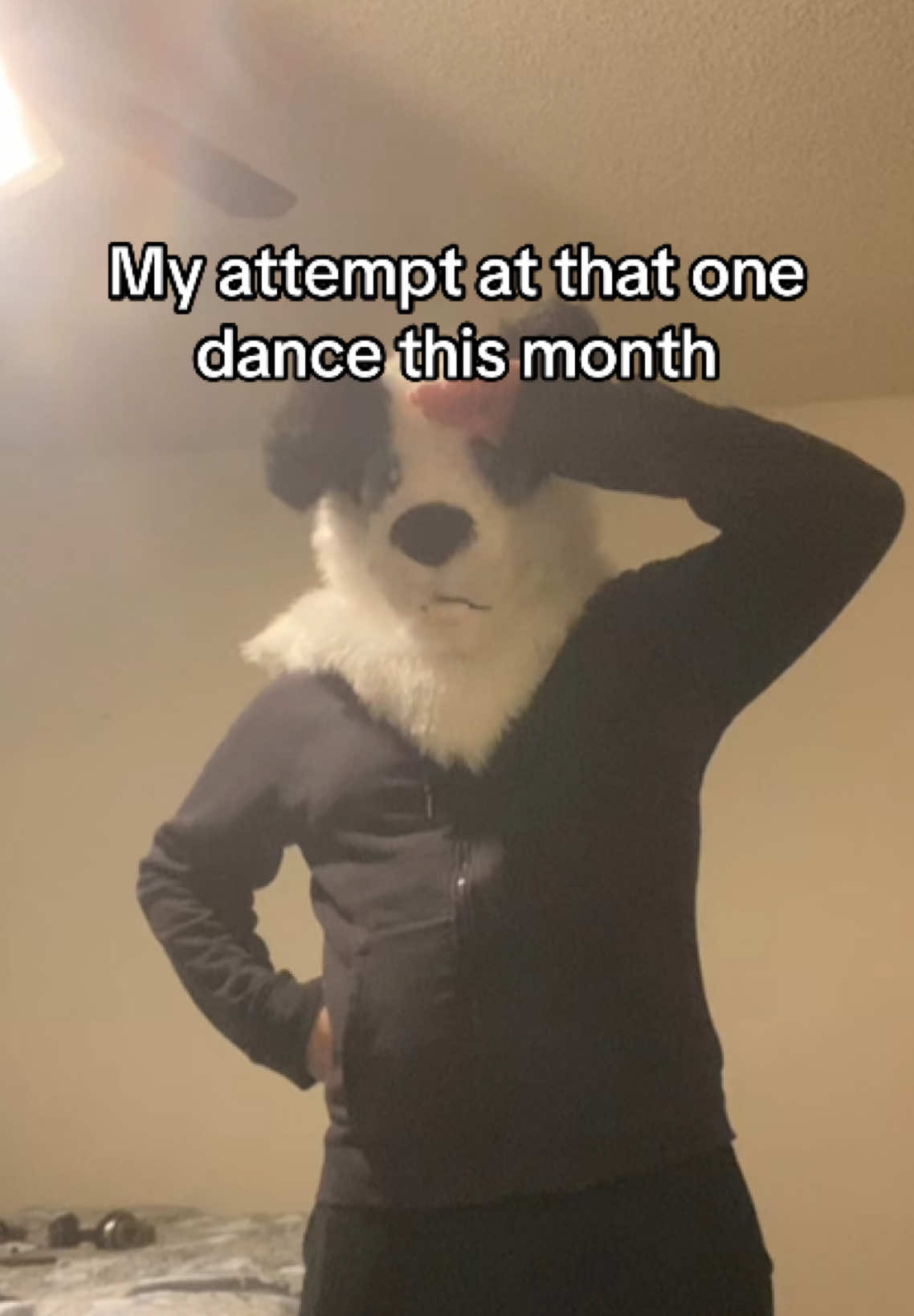 @Rilo the Fox