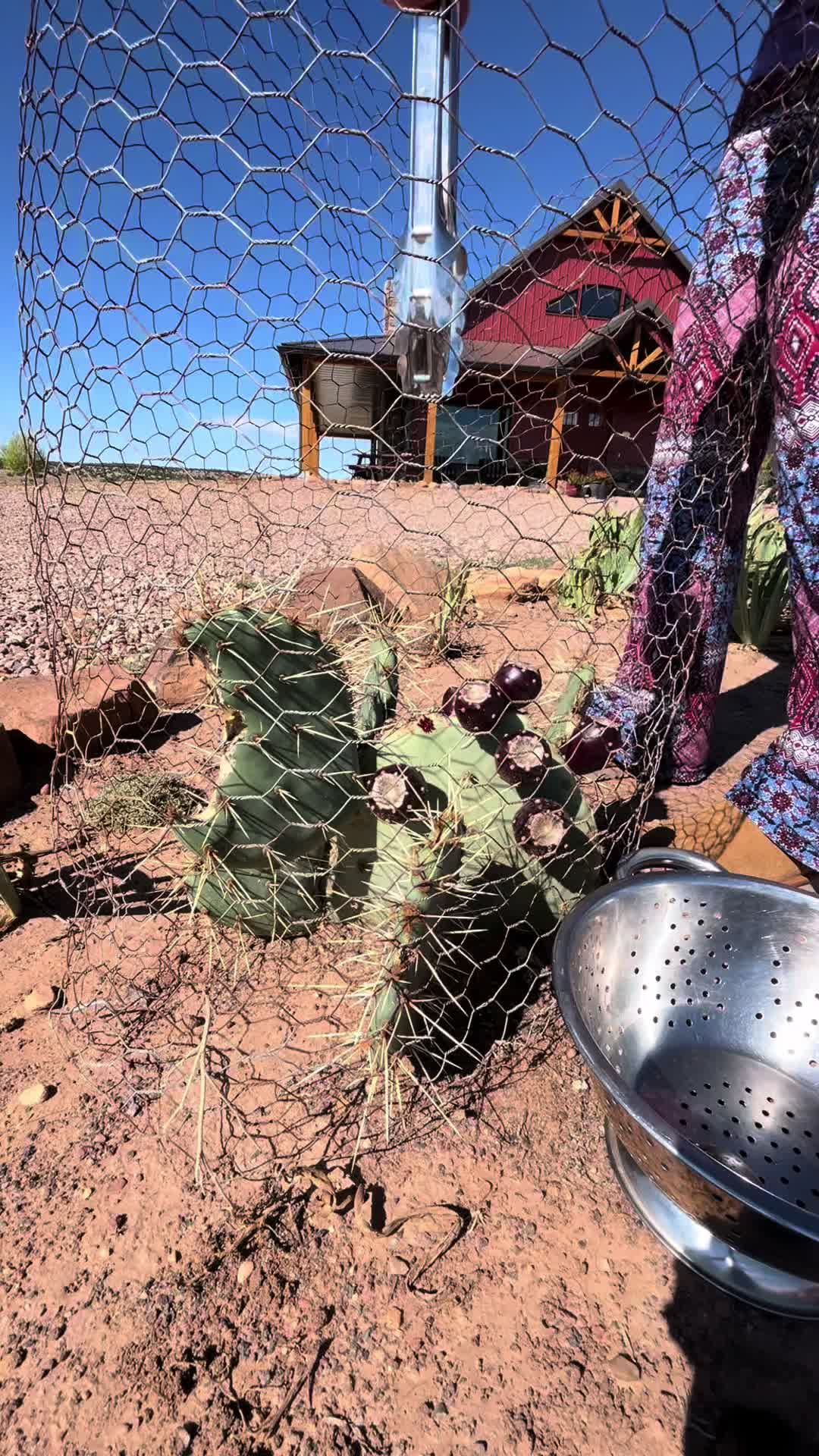 @AZ Off Grid