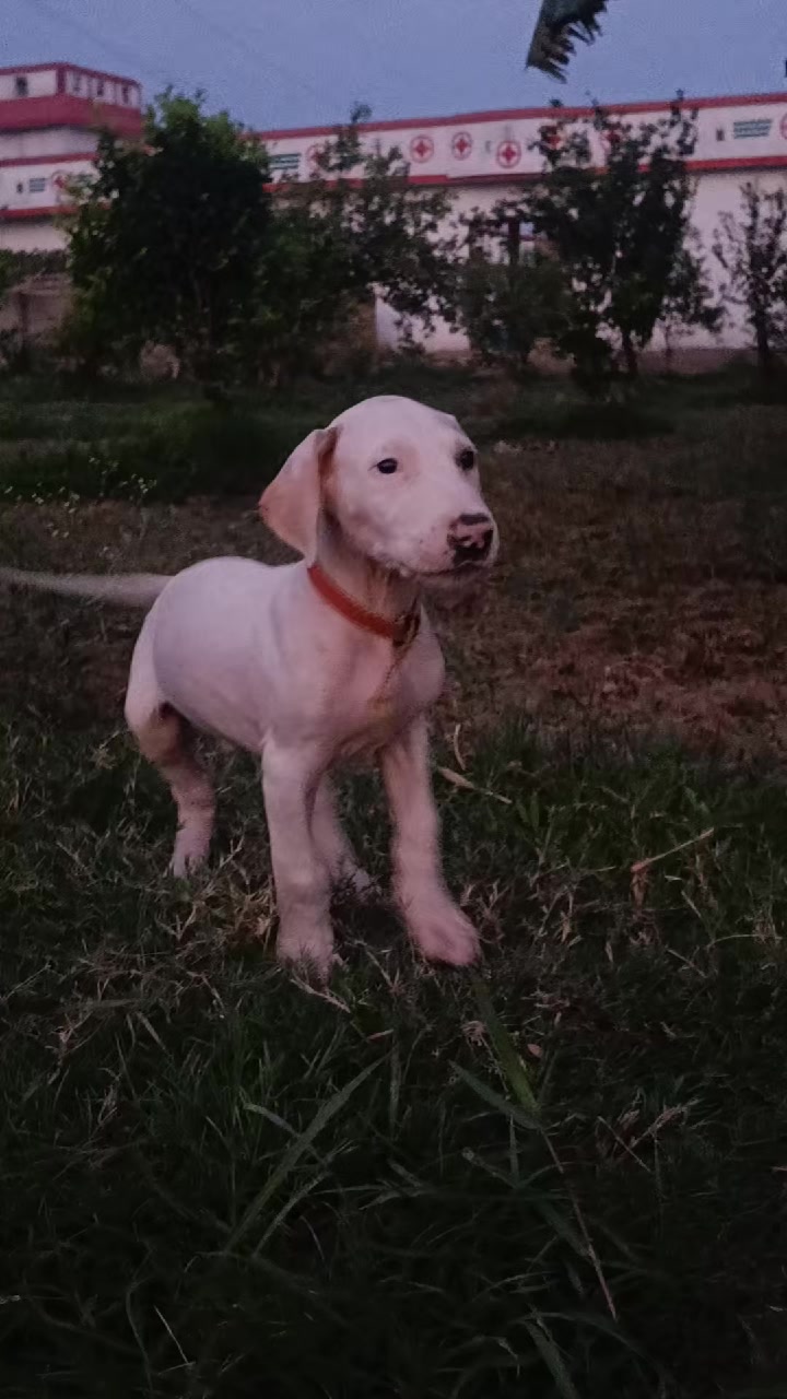 @☁♡🔥А𝔂&aacute;ẓₚ&aacute;𝓉𝘩ⲁп🔥♡☁