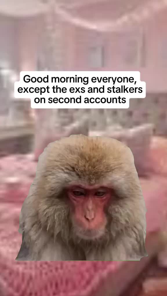 @Kevin Dollabillz