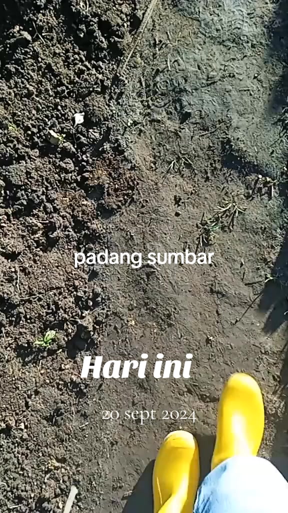 @eulis Pangalengan 78 ☑️