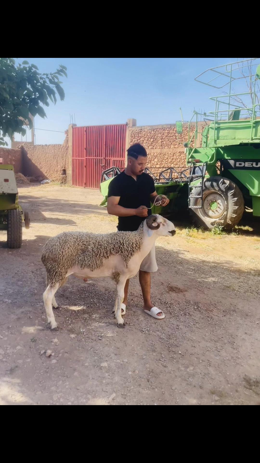 @🤍Ayman ennaghraoui 🤍🫶🏻🕯️