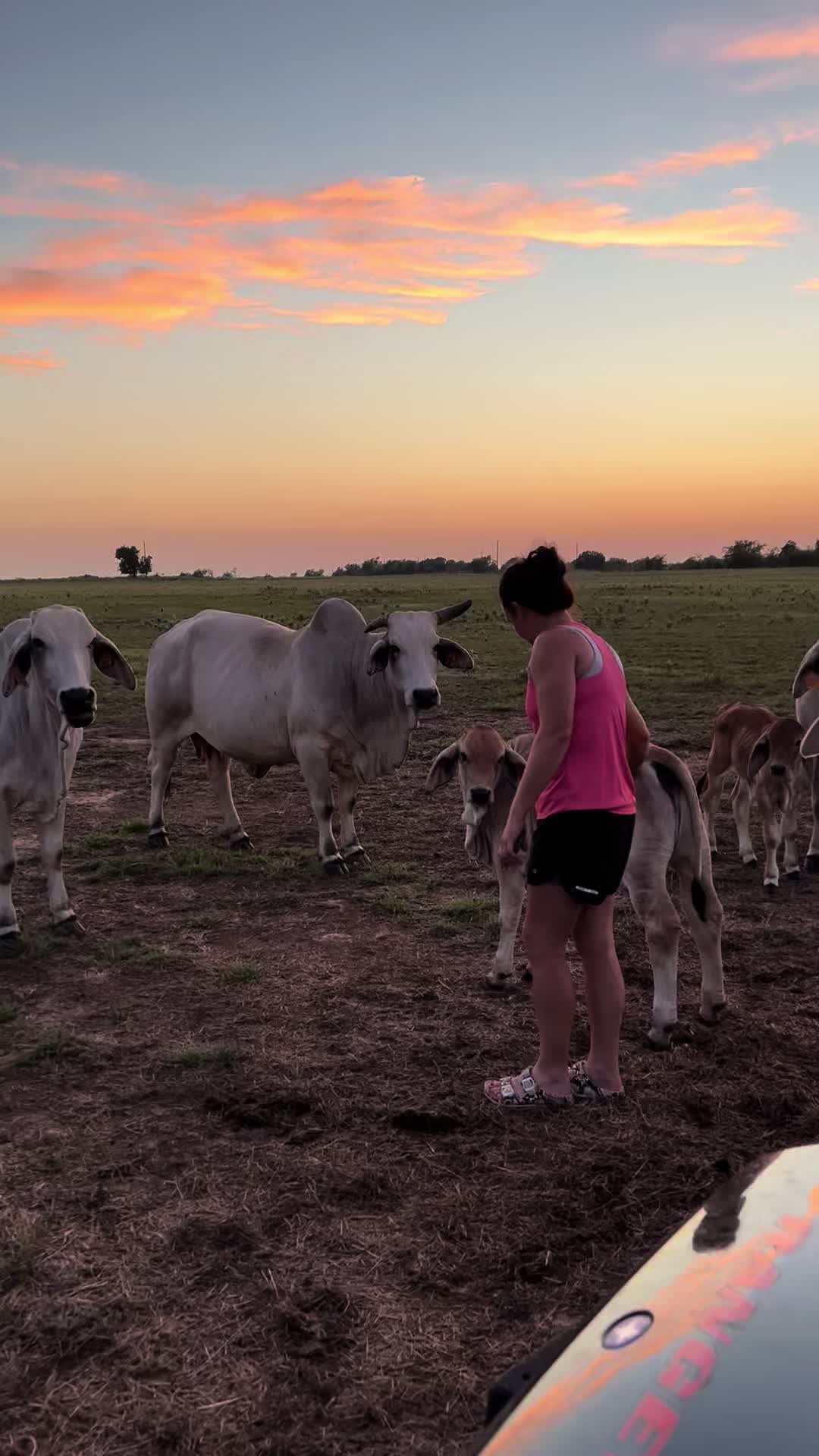 @The V6 Ranch