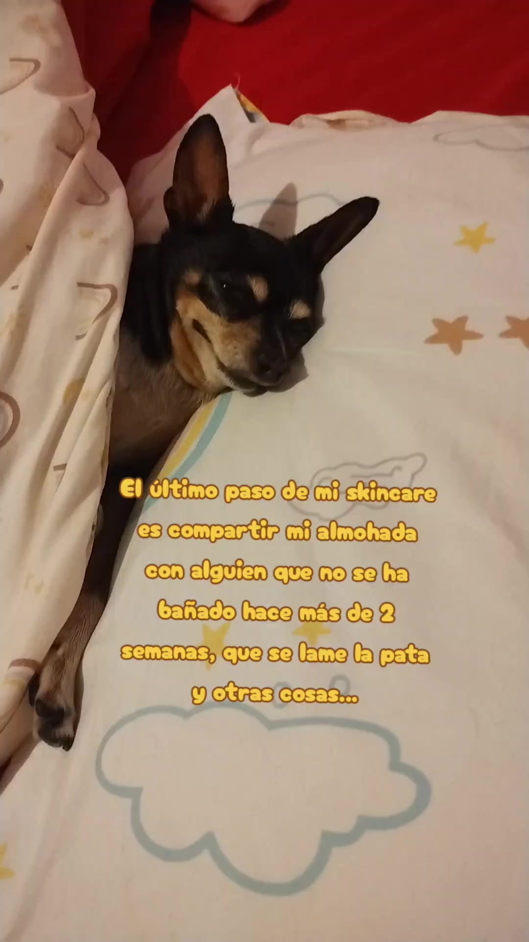 @MAR