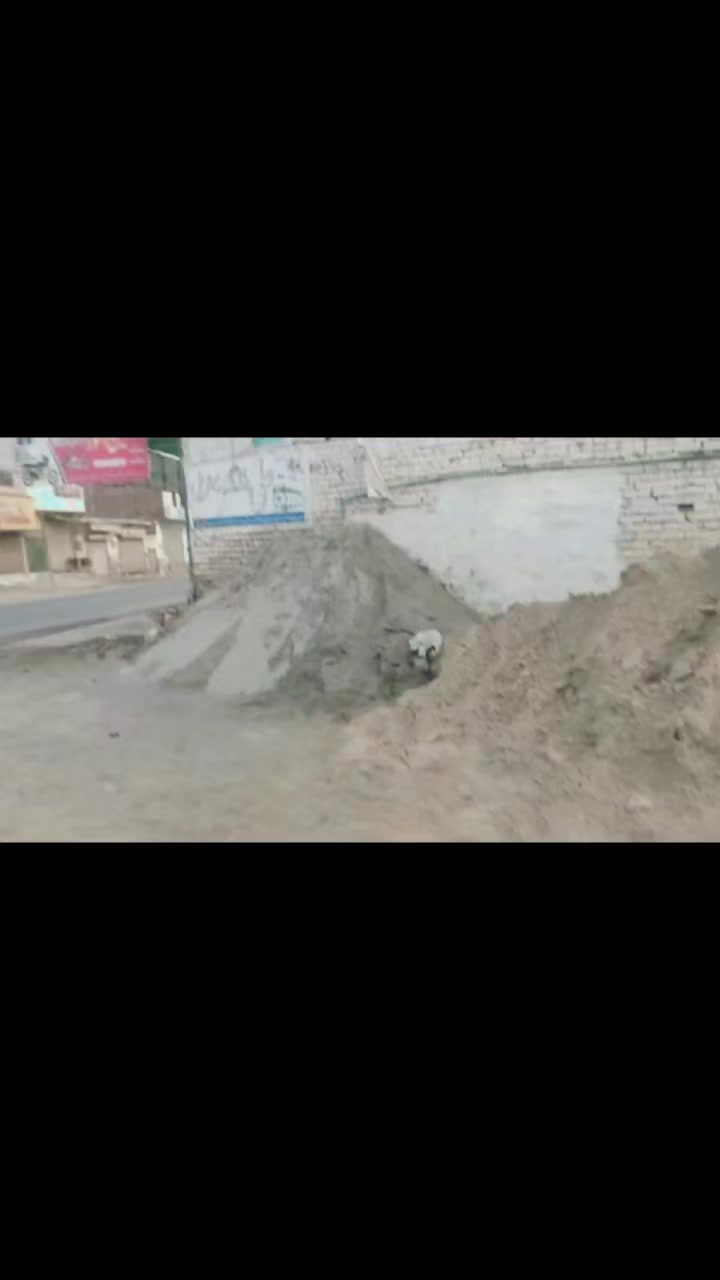 @ملک ارسلان اعوان ⚜️☠️