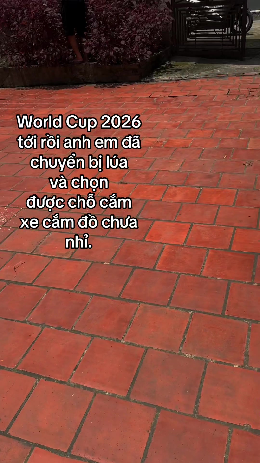 @Nguyen Bao Nam