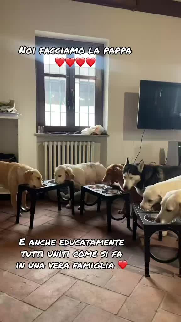 @KIRA❤️LEYLA💙