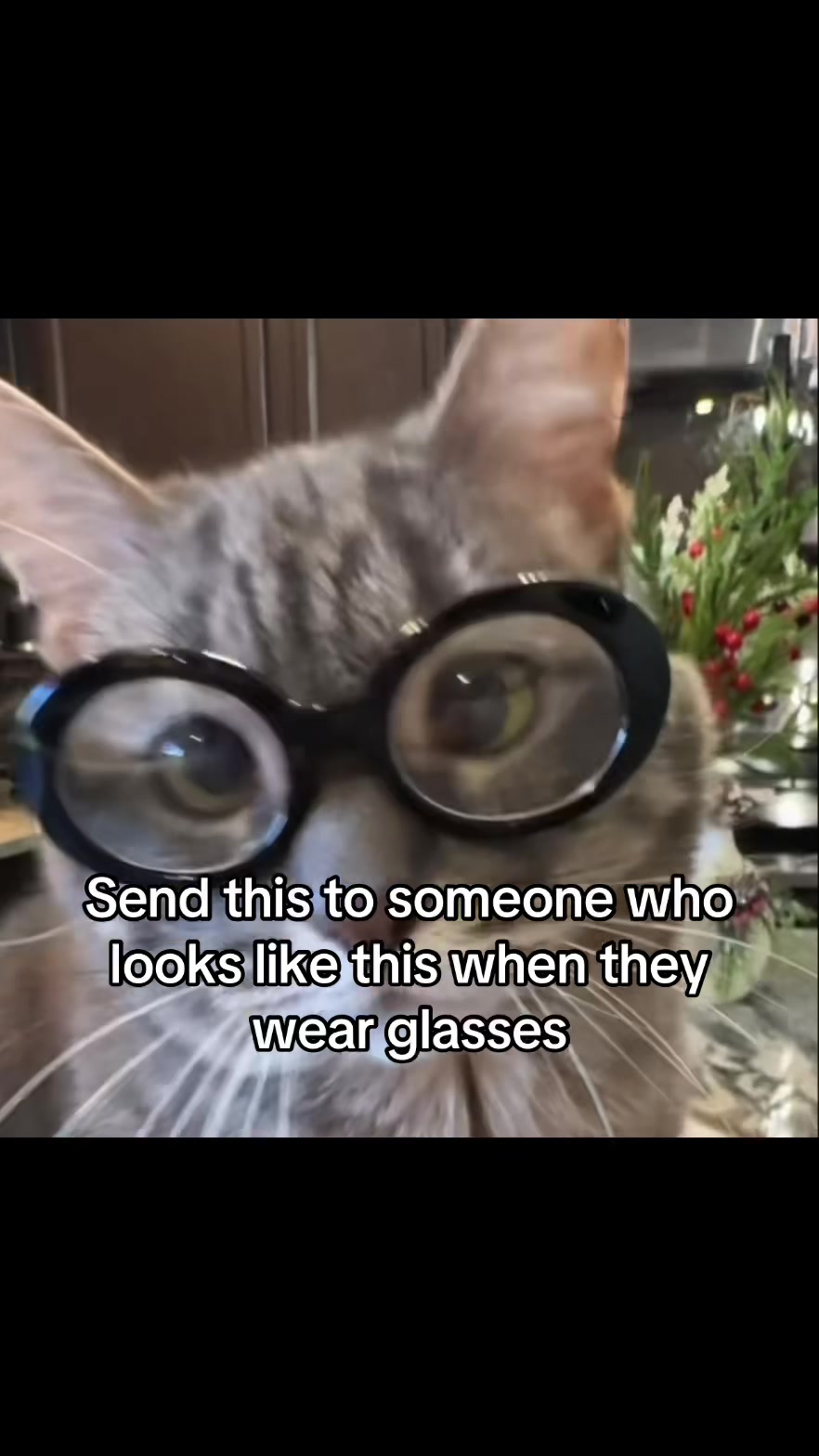@LavanderCat