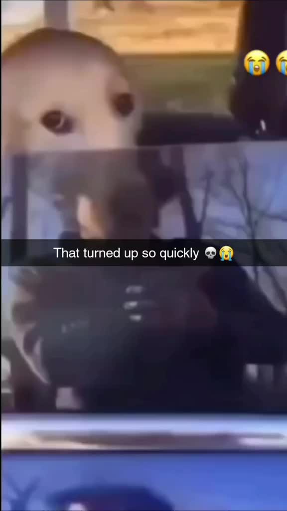 @MemeHub