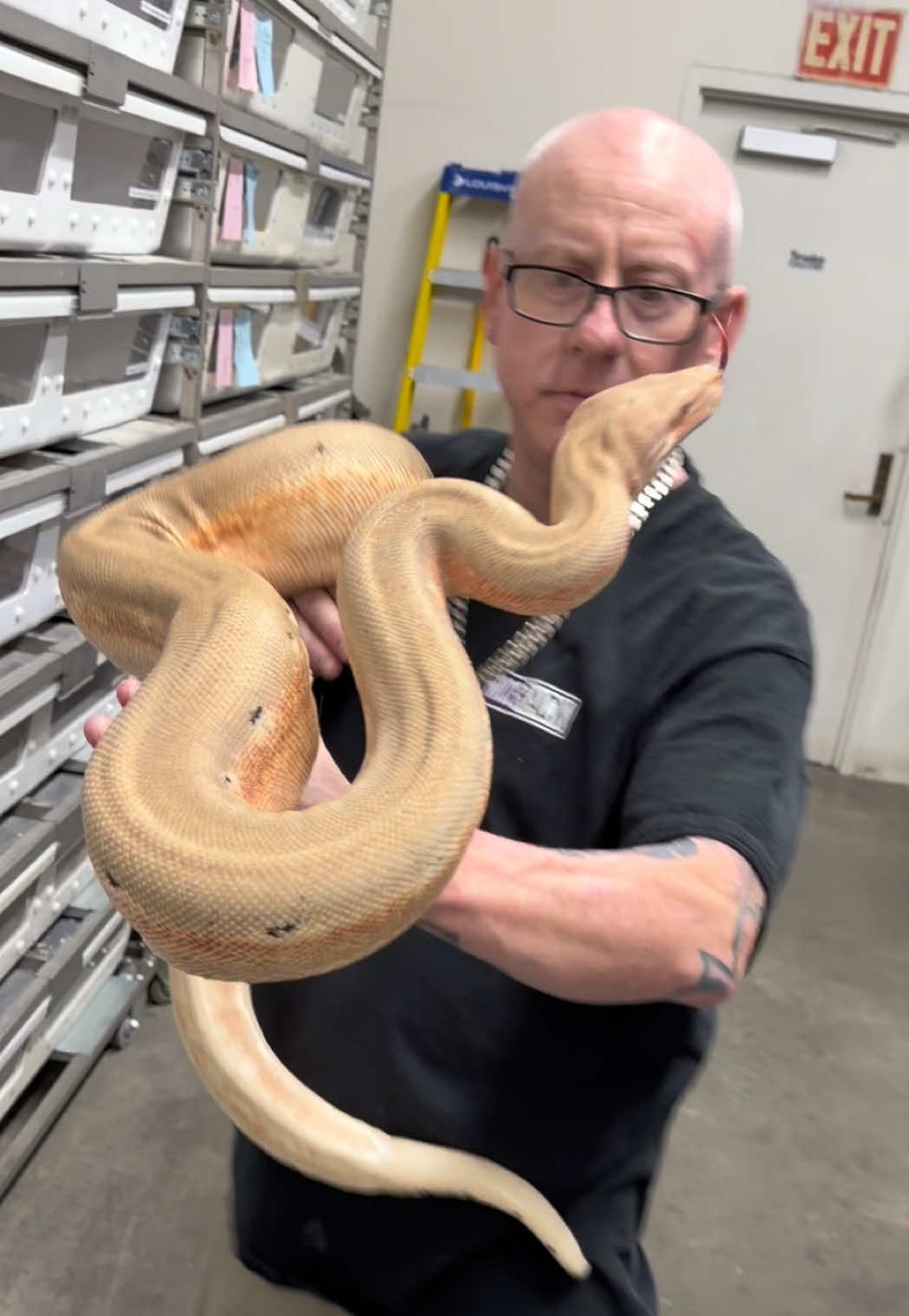 @Snake Country