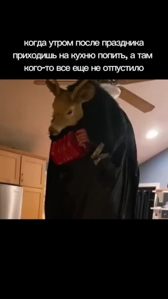 @слава
