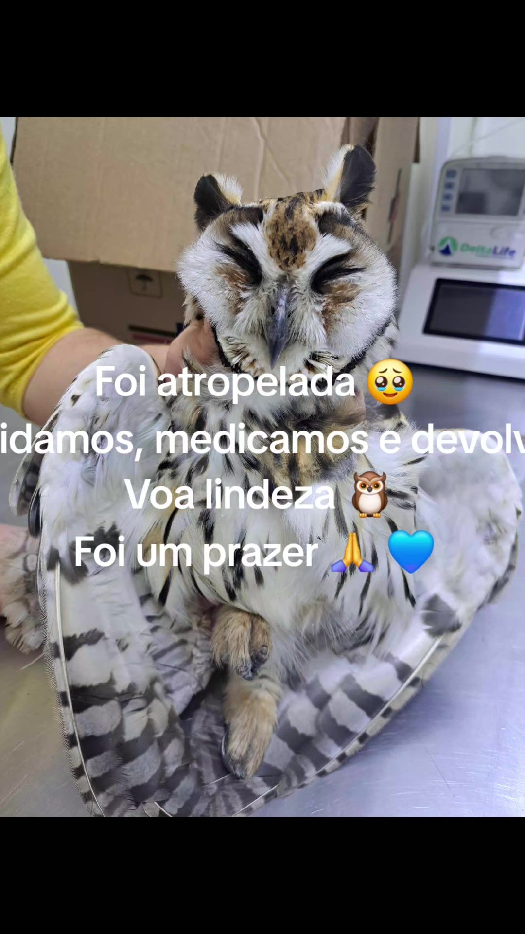 @Janaina Barbosa