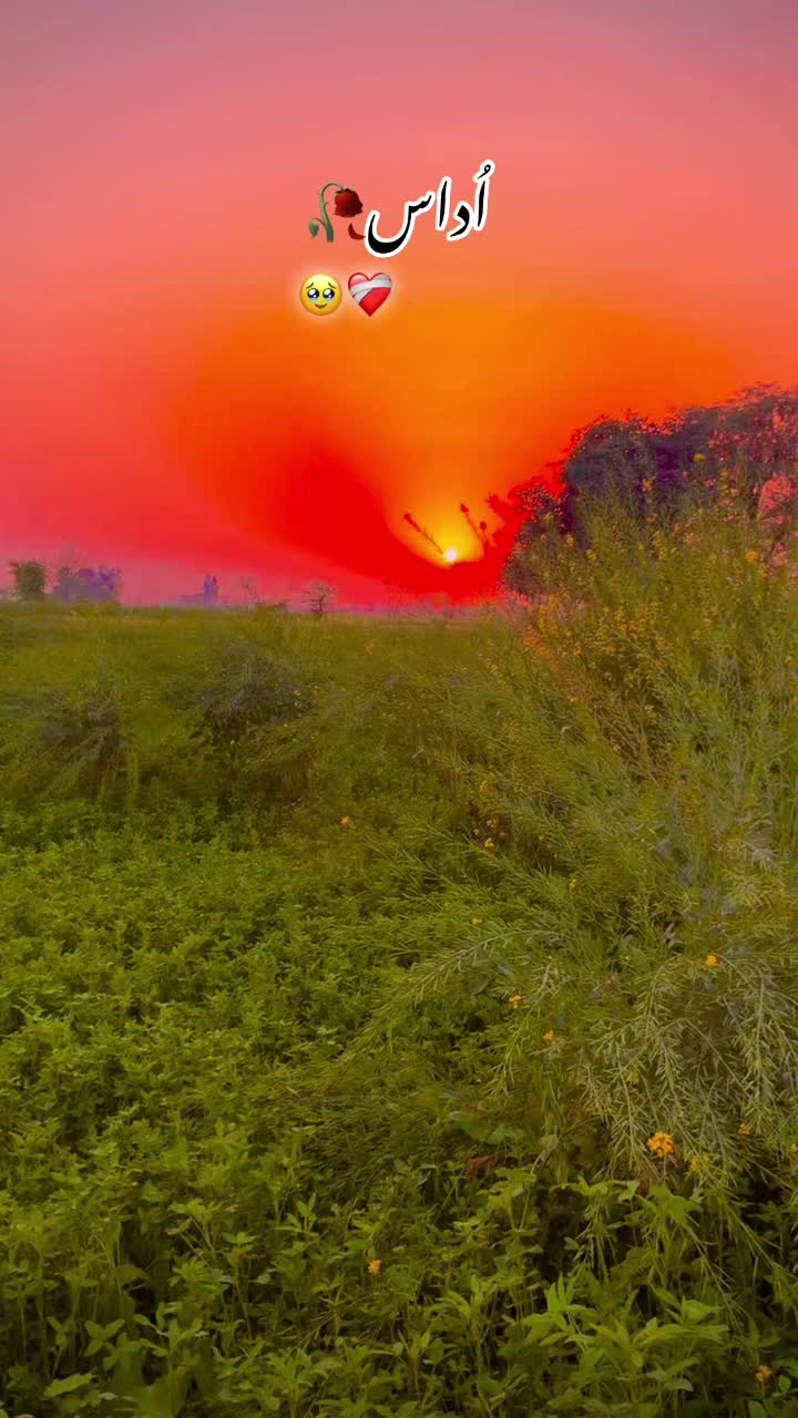 @🌾🌱پنجابی کلچر 🌾🌱