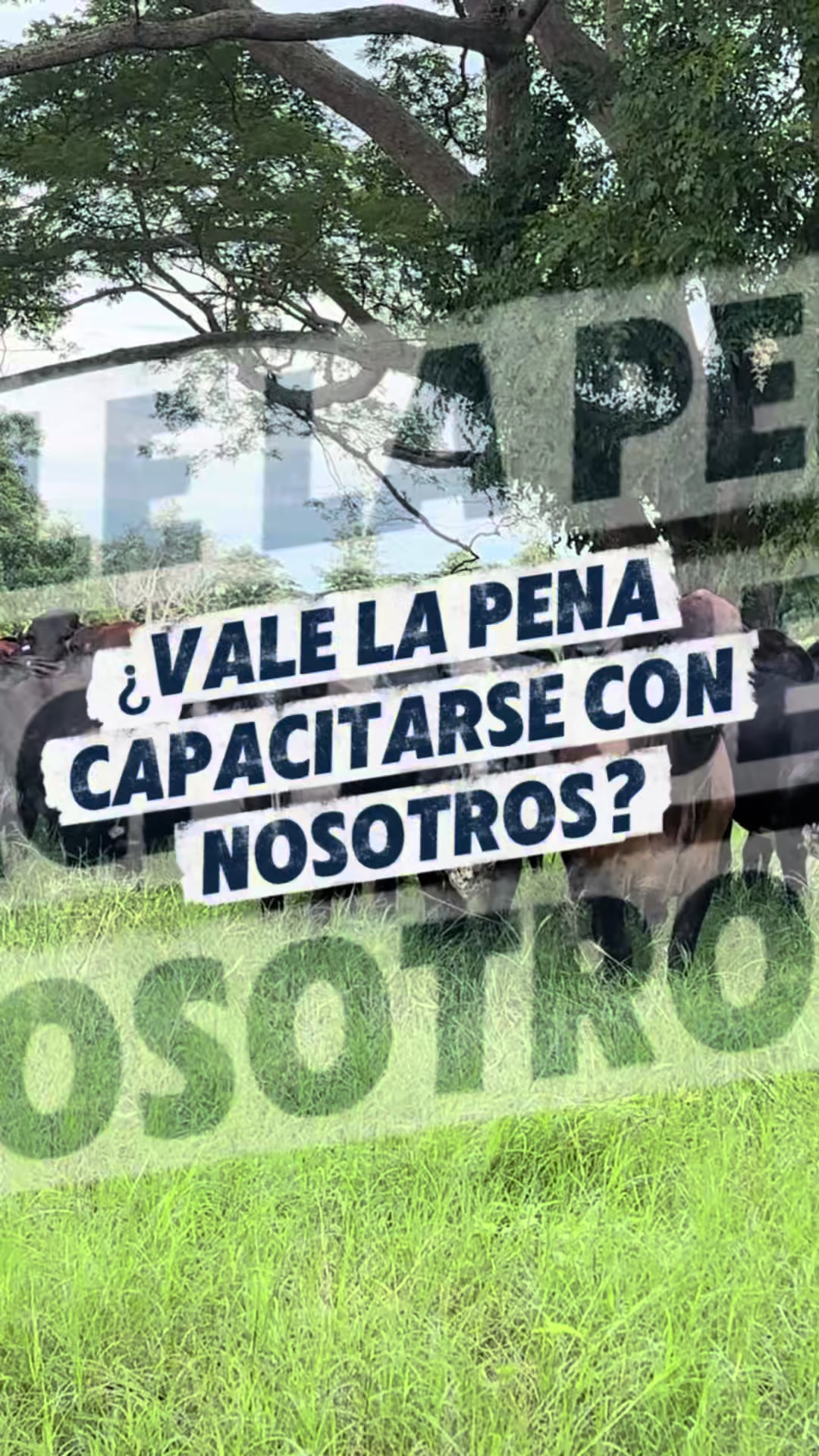 @Global Caribe