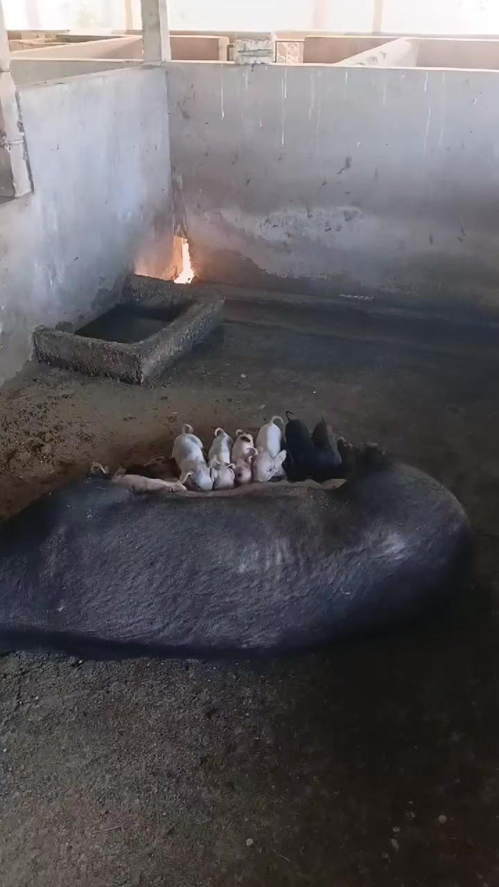@Namita Dawadi