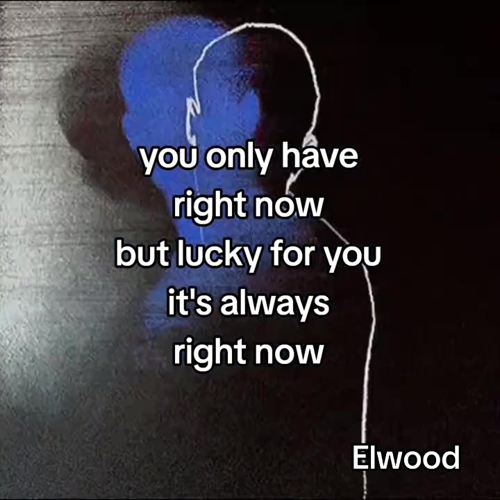 @𝑒𝓁𝓌𝑜𝑜𝒹𝒷𝓁𝓊𝑒𝓈