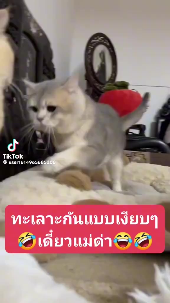 @ตุ้ม จันทาพูน