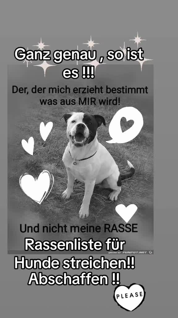 @❤️Ulla & Tiere❤️