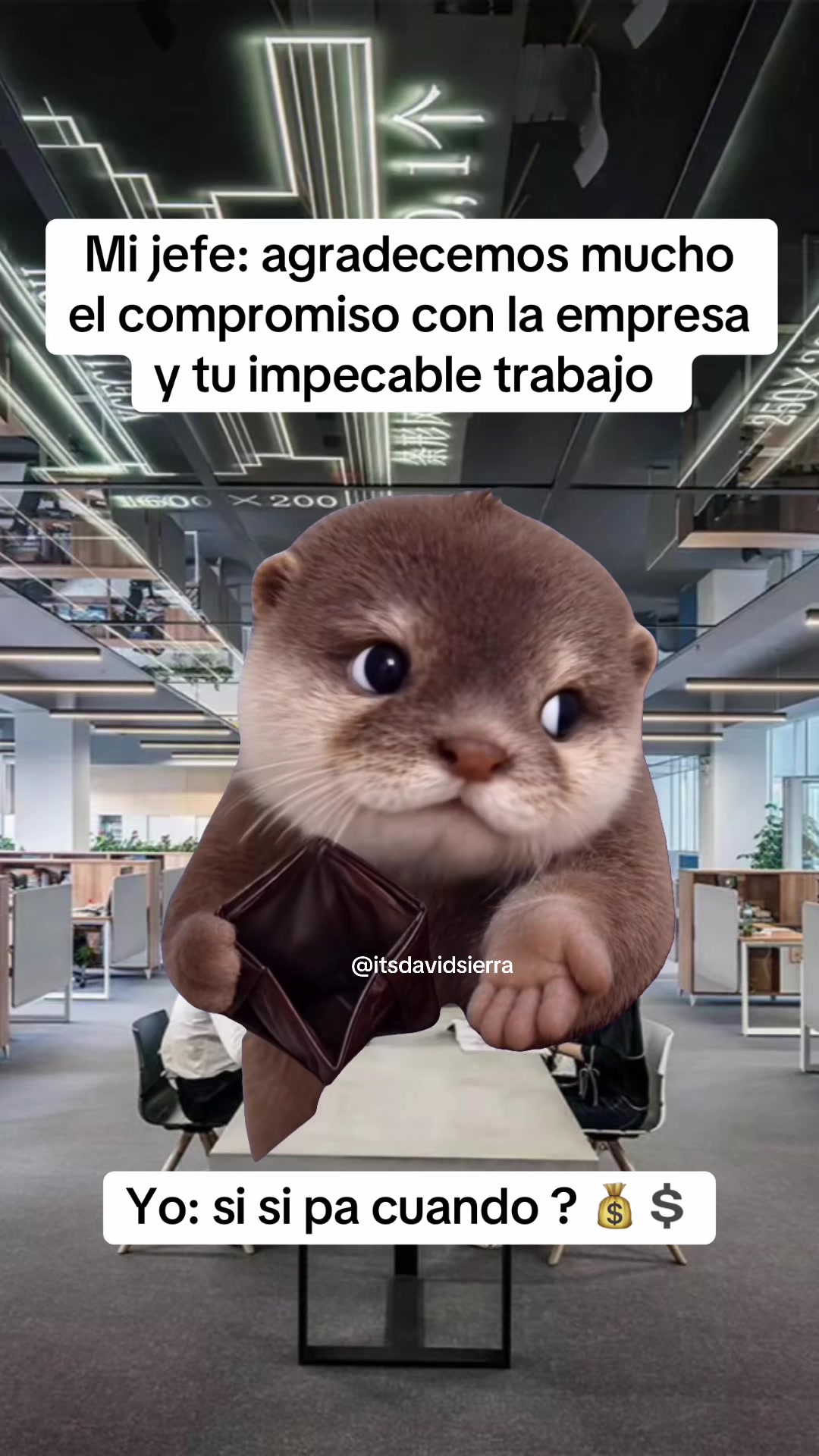 @ItsDavidSierra⚡️
