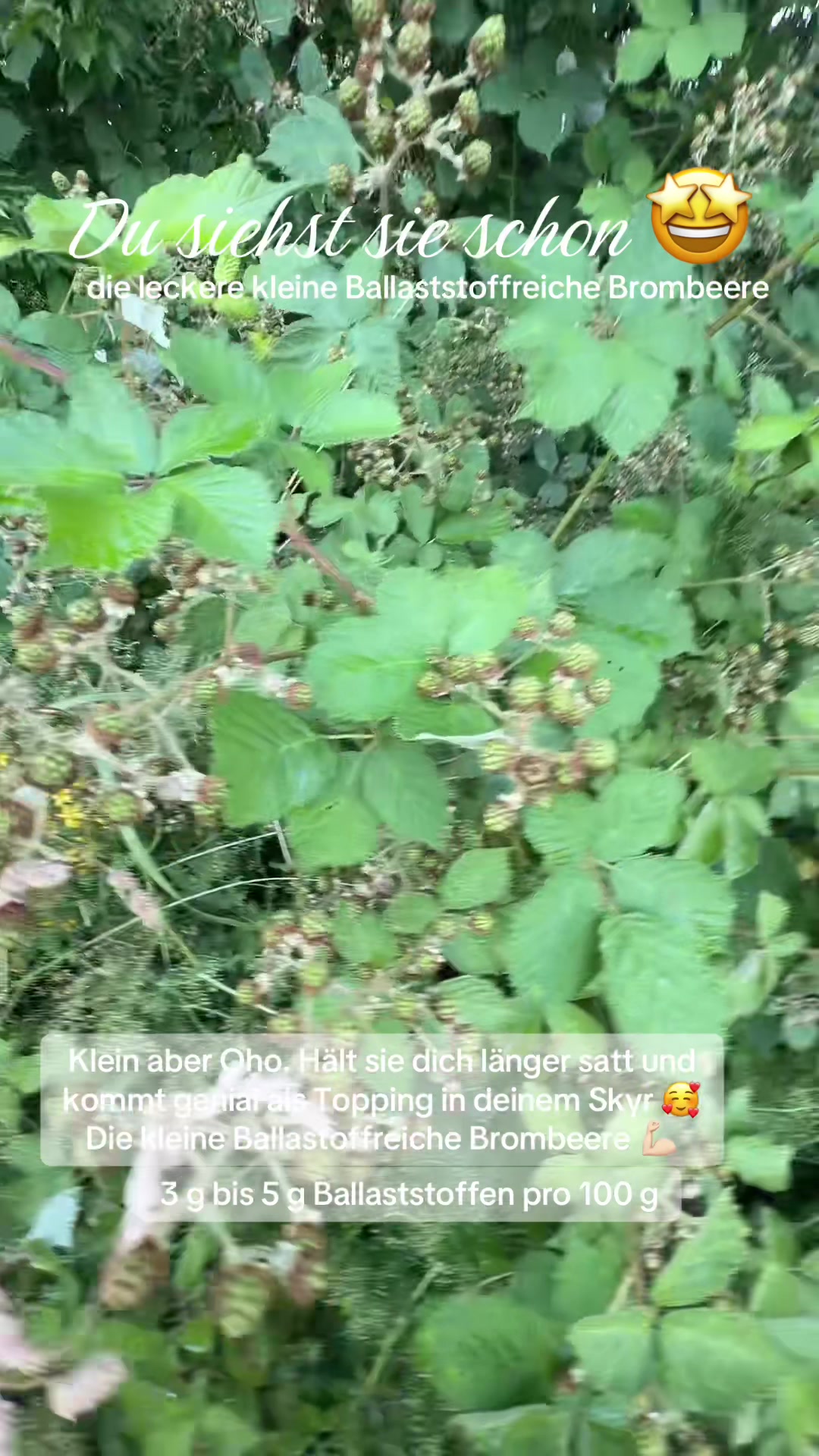 @🌸EinfachSarah🌸