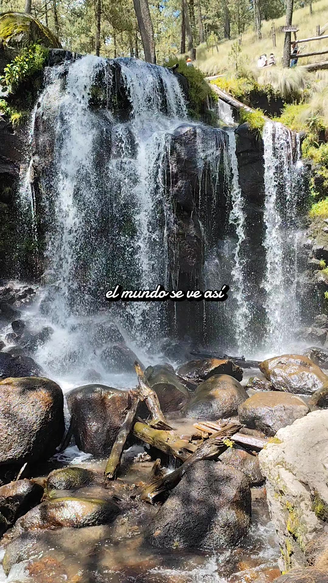 @ale díaz