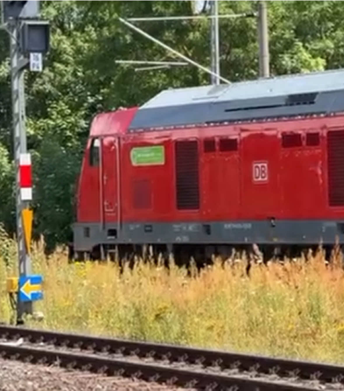 @Trainspotter