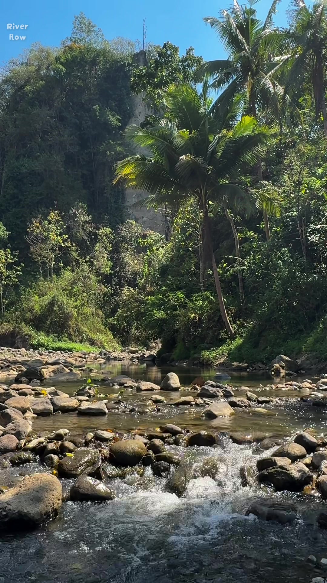@River Flow