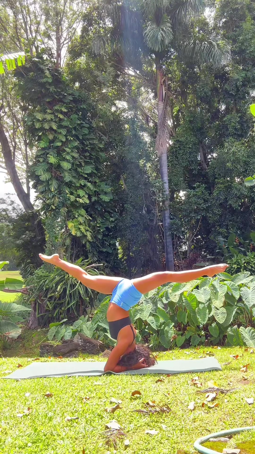 @claryssa