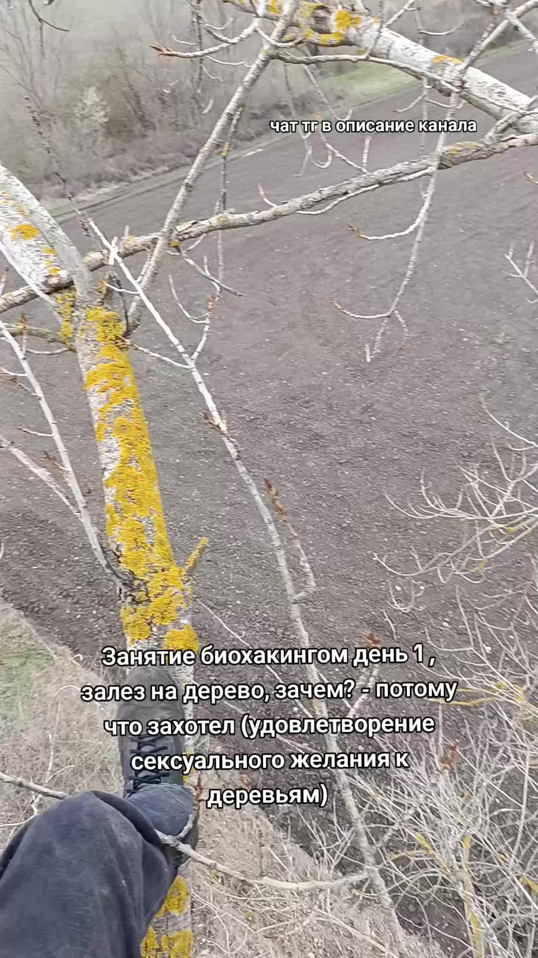 @Лучезарный хрякᛉ