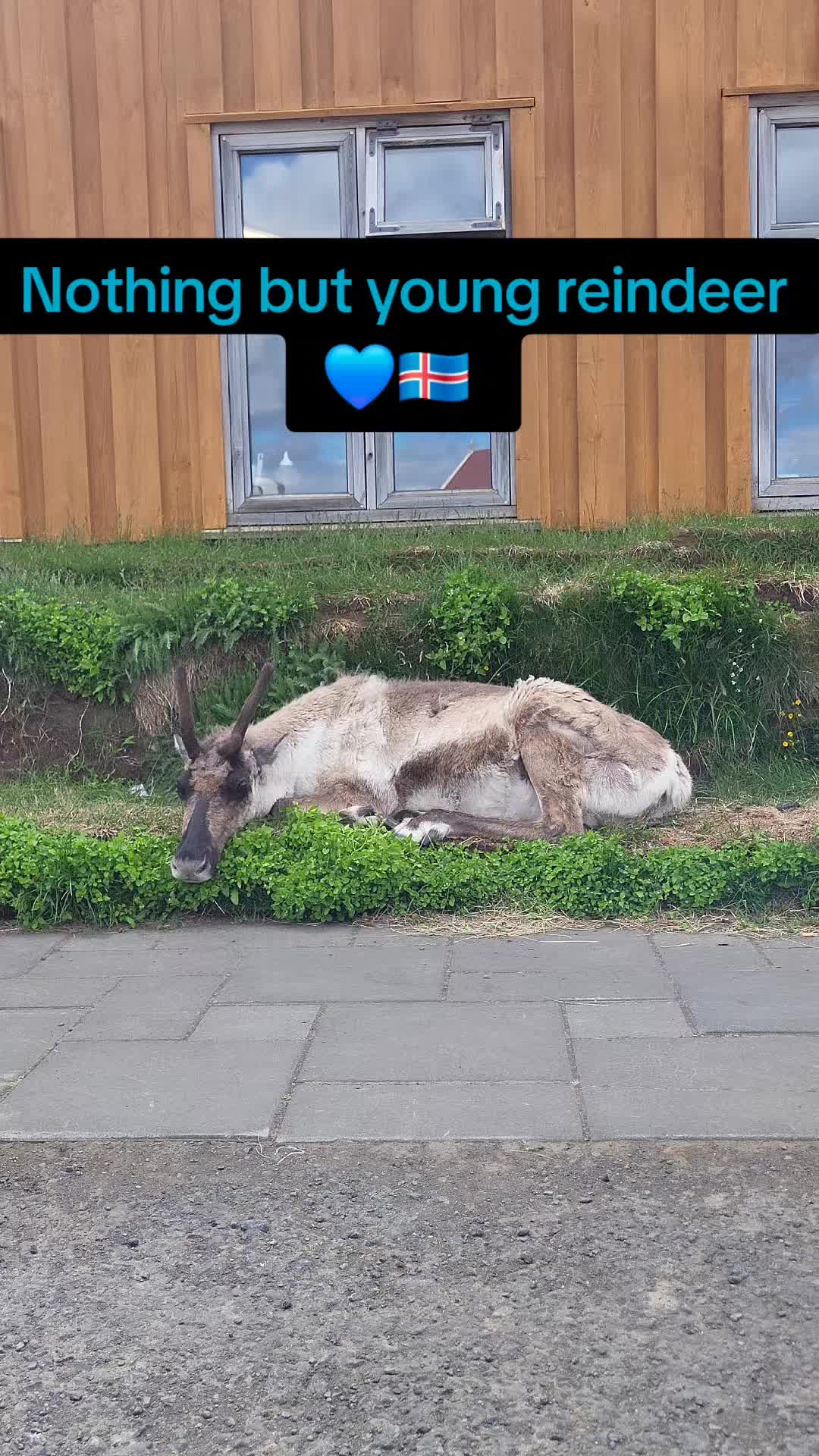 @Za Rogiem Świata