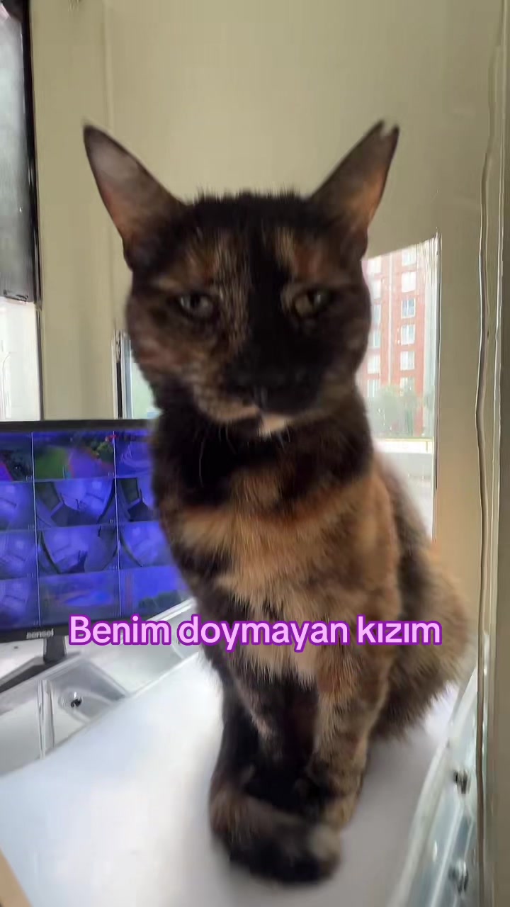 @YAREN YÜCEL🐆🥃