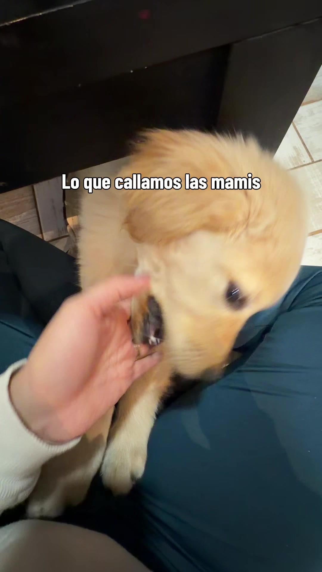 @Antonella